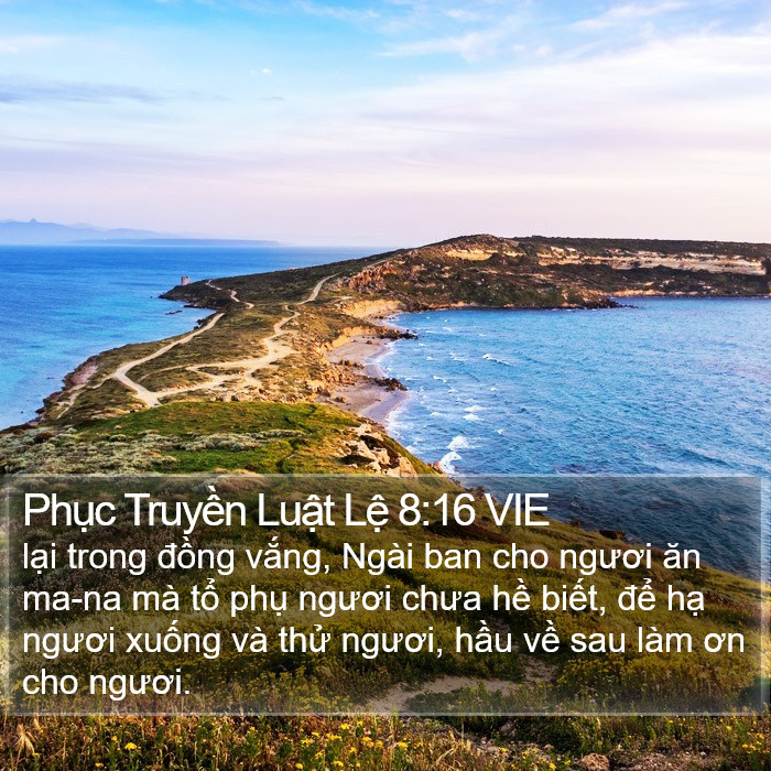 Phục Truyền Luật Lệ 8:16 VIE Bible Study