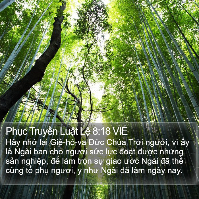 Phục Truyền Luật Lệ 8:18 VIE Bible Study