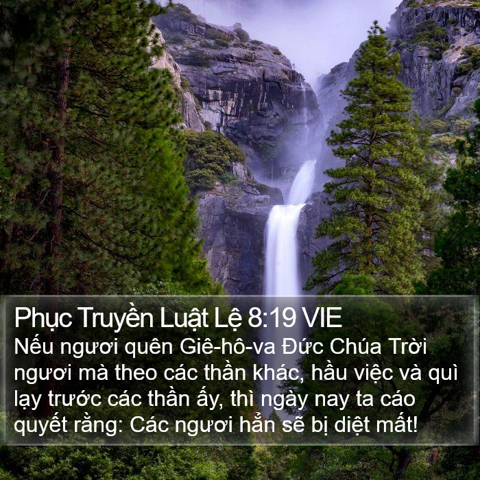 Phục Truyền Luật Lệ 8:19 VIE Bible Study