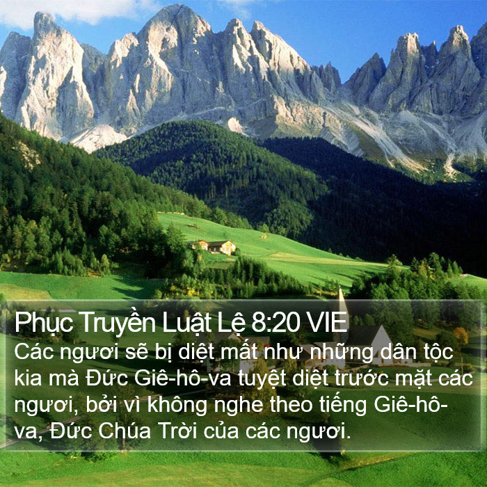 Phục Truyền Luật Lệ 8:20 VIE Bible Study