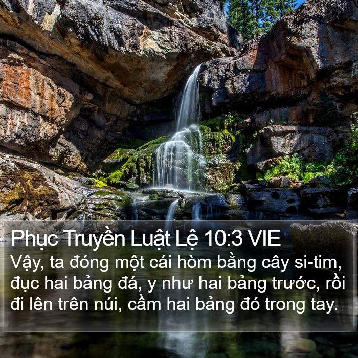 Phục Truyền Luật Lệ 10:3 VIE Bible Study