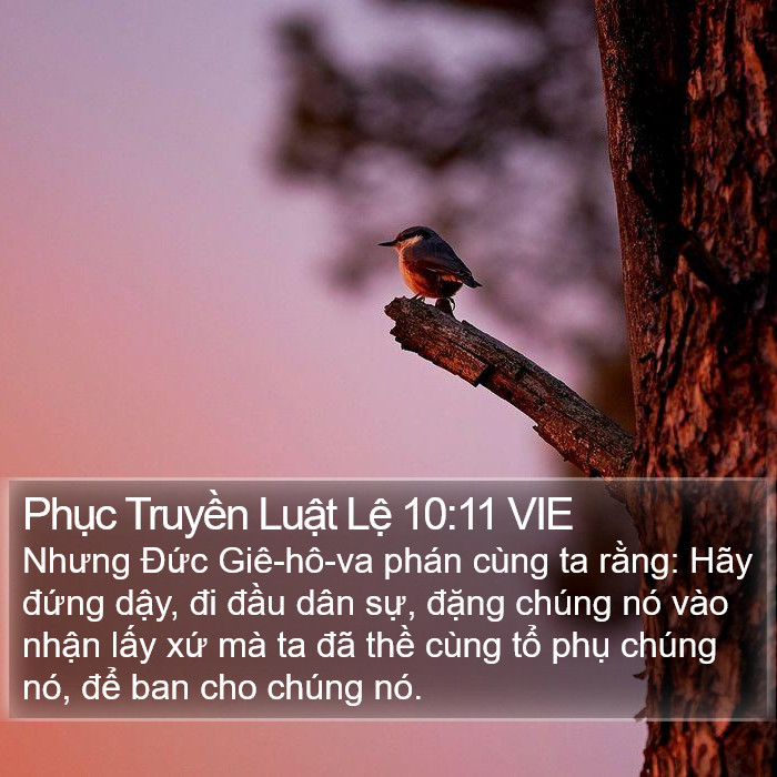 Phục Truyền Luật Lệ 10:11 VIE Bible Study