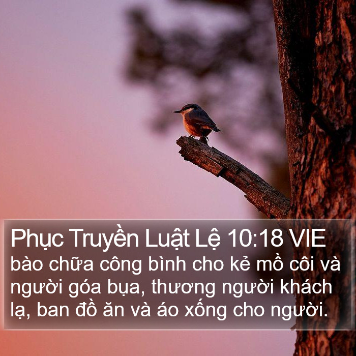 Phục Truyền Luật Lệ 10:18 VIE Bible Study