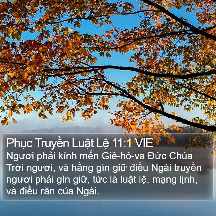 Phục Truyền Luật Lệ 11:1 VIE Bible Study