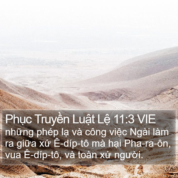 Phục Truyền Luật Lệ 11:3 VIE Bible Study