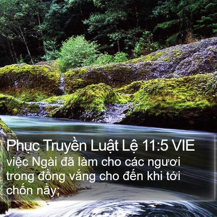 Phục Truyền Luật Lệ 11:5 VIE Bible Study