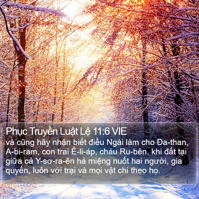 Phục Truyền Luật Lệ 11:6 VIE Bible Study