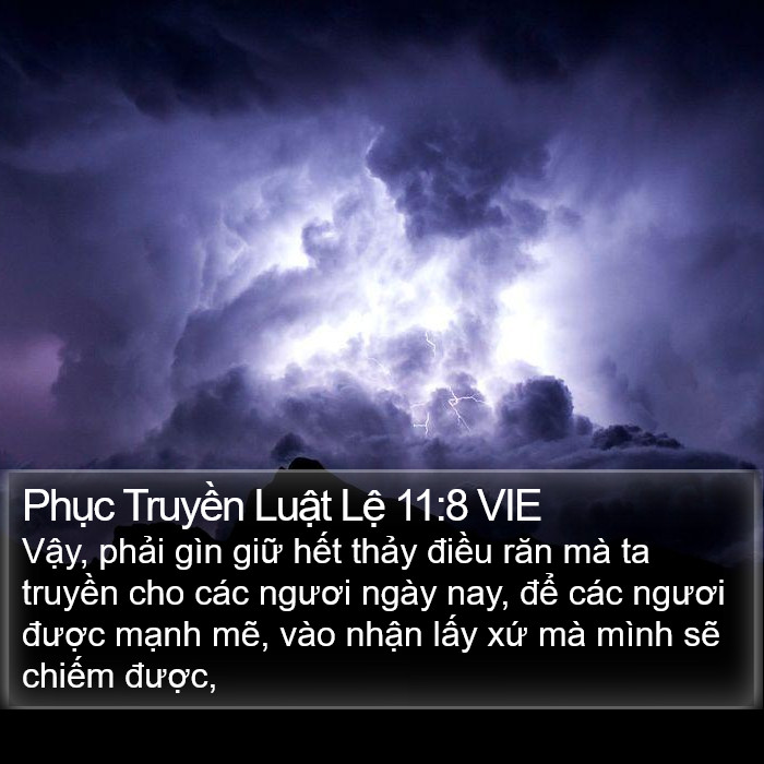 Phục Truyền Luật Lệ 11:8 VIE Bible Study