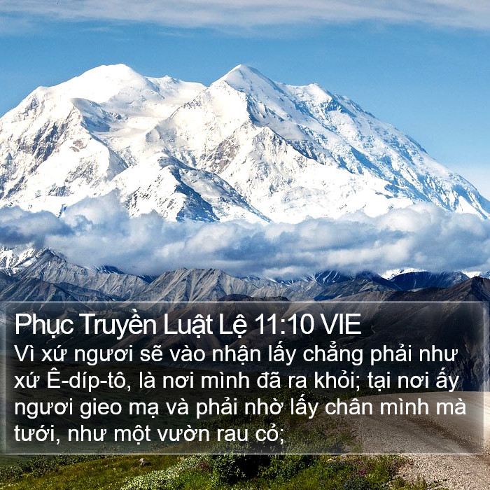 Phục Truyền Luật Lệ 11:10 VIE Bible Study