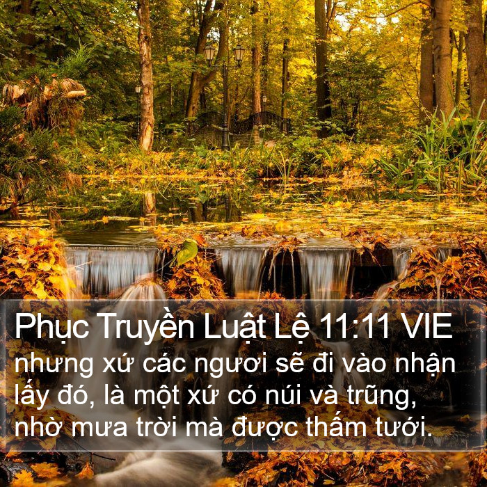 Phục Truyền Luật Lệ 11:11 VIE Bible Study