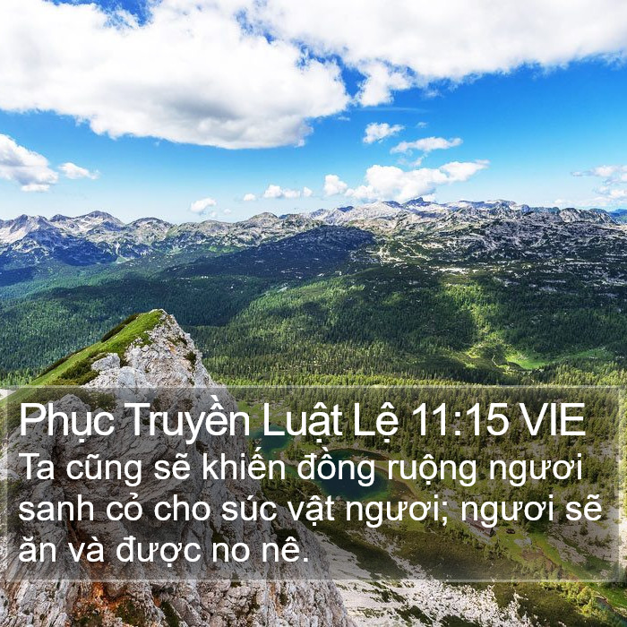 Phục Truyền Luật Lệ 11:15 VIE Bible Study