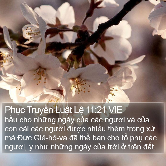 Phục Truyền Luật Lệ 11:21 VIE Bible Study