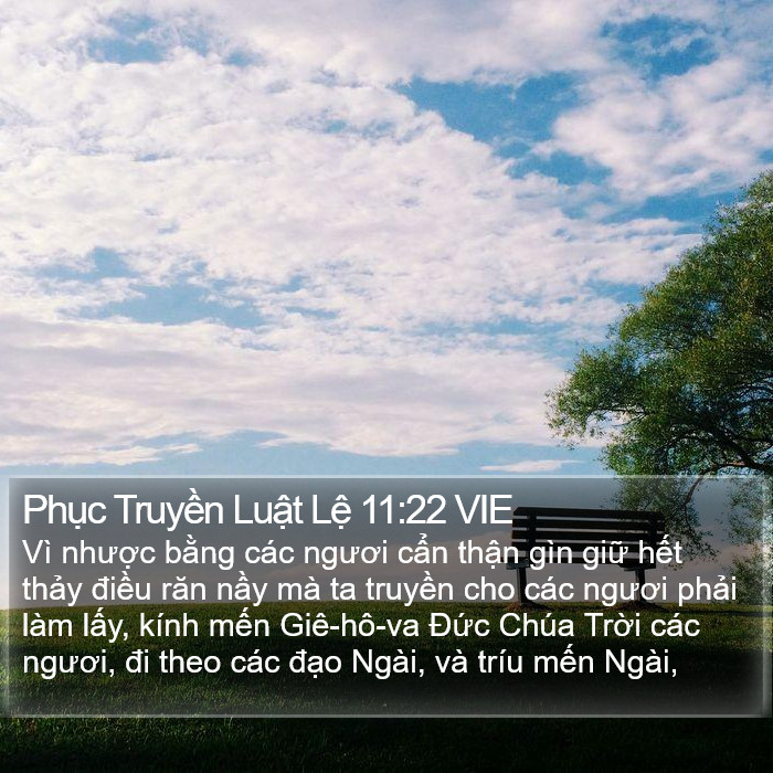 Phục Truyền Luật Lệ 11:22 VIE Bible Study