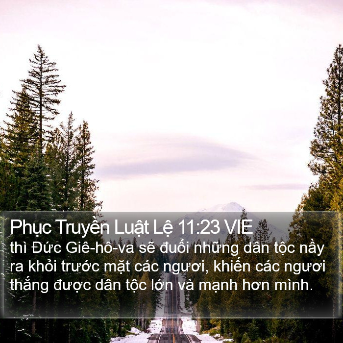 Phục Truyền Luật Lệ 11:23 VIE Bible Study