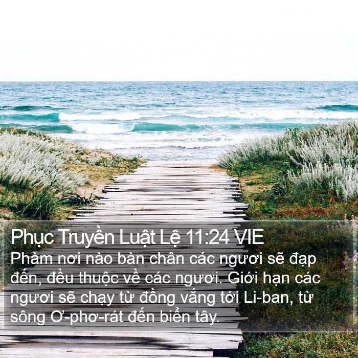 Phục Truyền Luật Lệ 11:24 VIE Bible Study