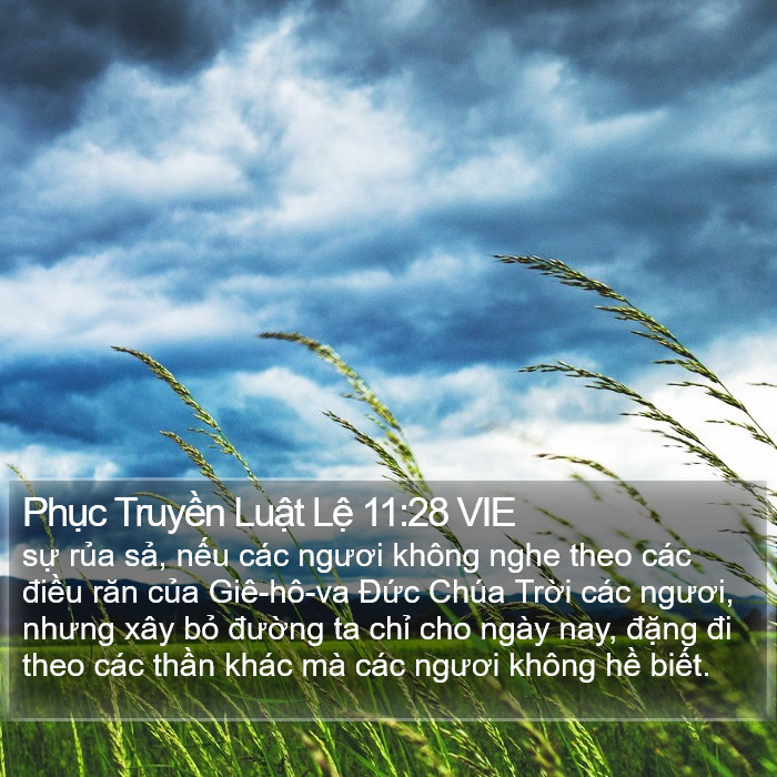 Phục Truyền Luật Lệ 11:28 VIE Bible Study