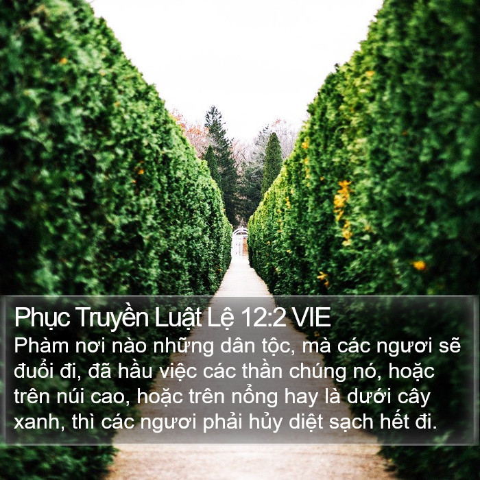 Phục Truyền Luật Lệ 12:2 VIE Bible Study
