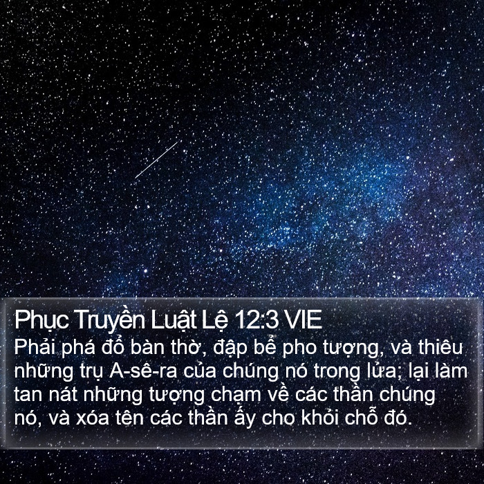 Phục Truyền Luật Lệ 12:3 VIE Bible Study