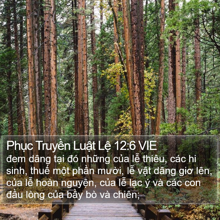 Phục Truyền Luật Lệ 12:6 VIE Bible Study