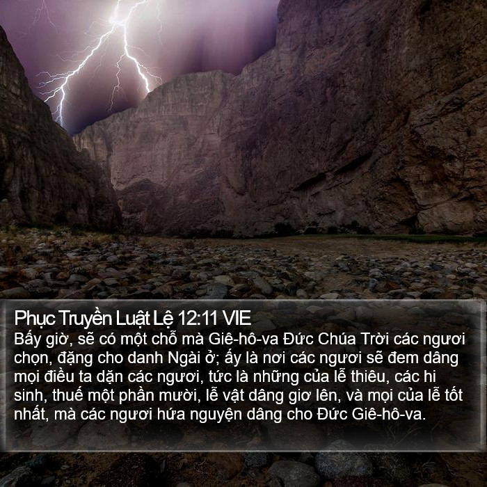 Phục Truyền Luật Lệ 12:11 VIE Bible Study