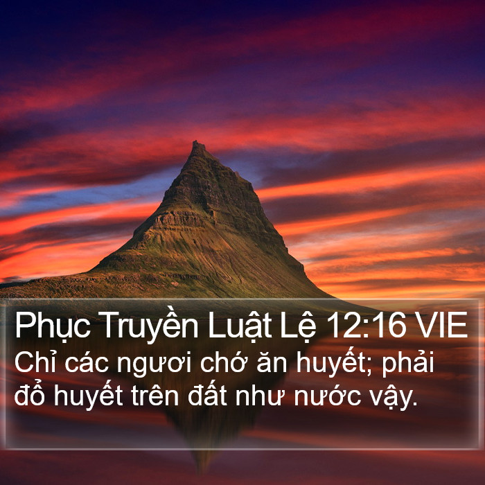 Phục Truyền Luật Lệ 12:16 VIE Bible Study