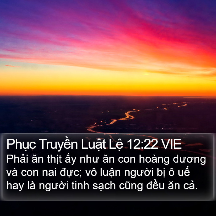 Phục Truyền Luật Lệ 12:22 VIE Bible Study