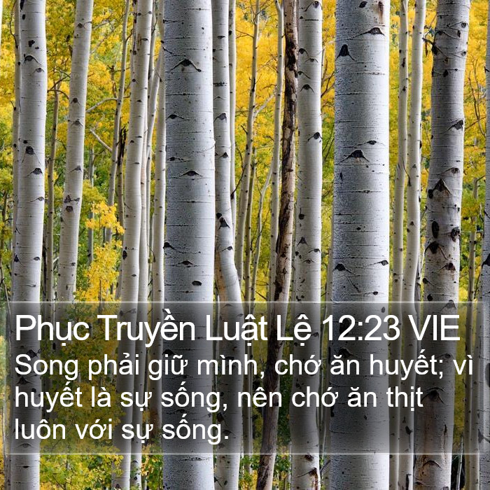 Phục Truyền Luật Lệ 12:23 VIE Bible Study