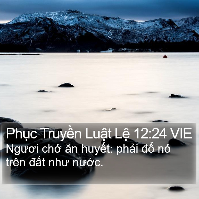 Phục Truyền Luật Lệ 12:24 VIE Bible Study