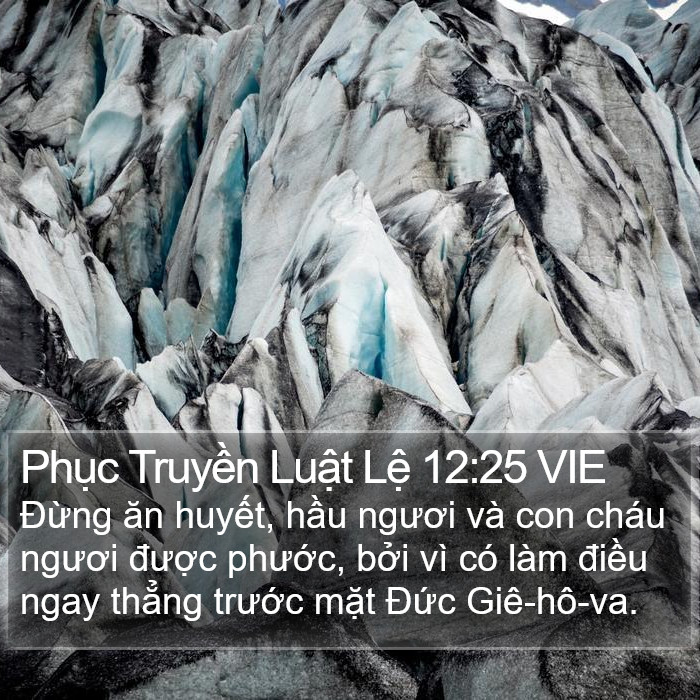 Phục Truyền Luật Lệ 12:25 VIE Bible Study
