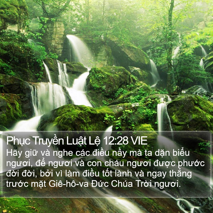 Phục Truyền Luật Lệ 12:28 VIE Bible Study