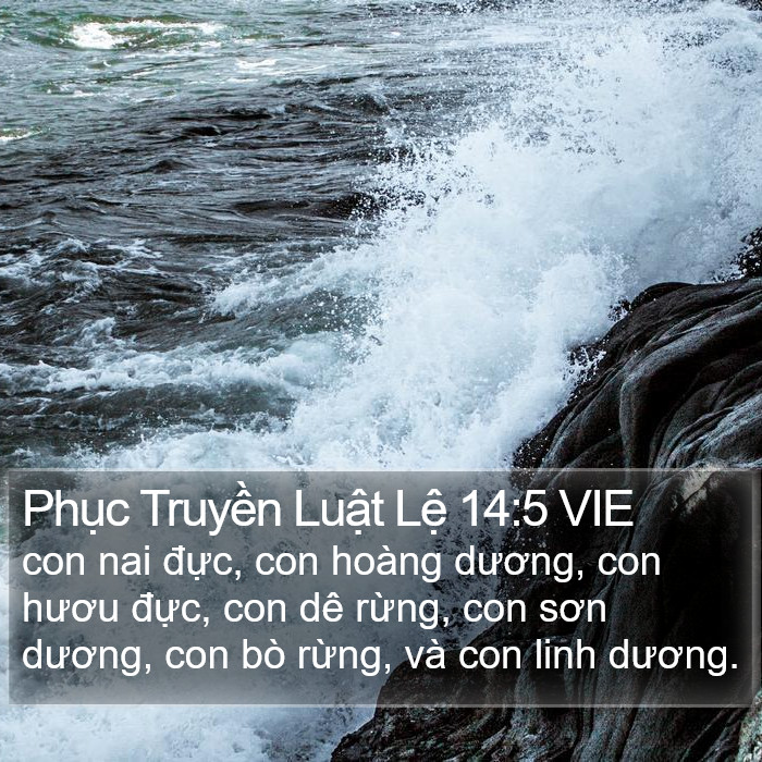 Phục Truyền Luật Lệ 14:5 VIE Bible Study