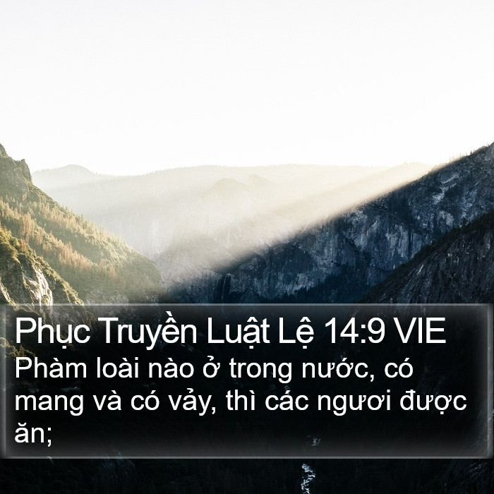 Phục Truyền Luật Lệ 14:9 VIE Bible Study