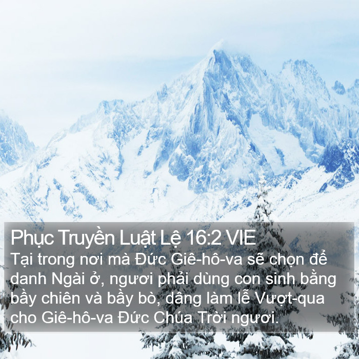 Phục Truyền Luật Lệ 16:2 VIE Bible Study