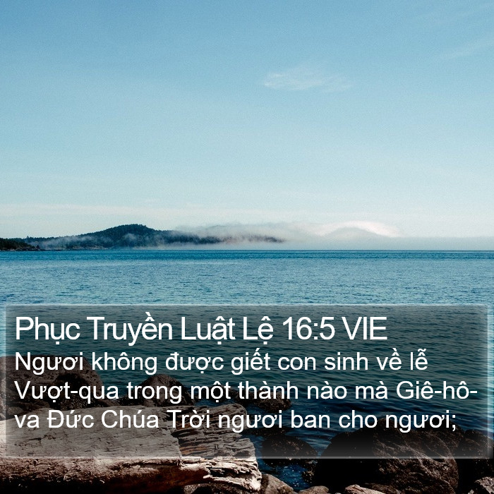 Phục Truyền Luật Lệ 16:5 VIE Bible Study