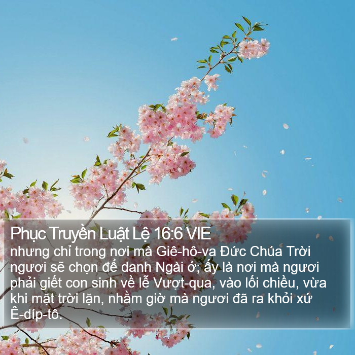 Phục Truyền Luật Lệ 16:6 VIE Bible Study