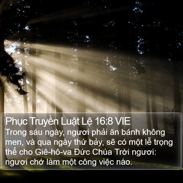 Phục Truyền Luật Lệ 16:8 VIE Bible Study