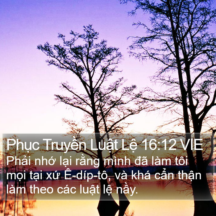 Phục Truyền Luật Lệ 16:12 VIE Bible Study