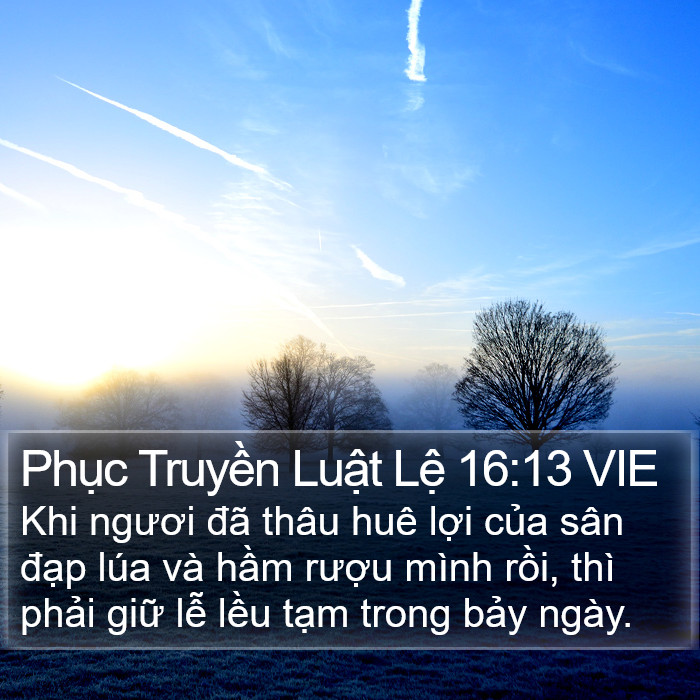 Phục Truyền Luật Lệ 16:13 VIE Bible Study