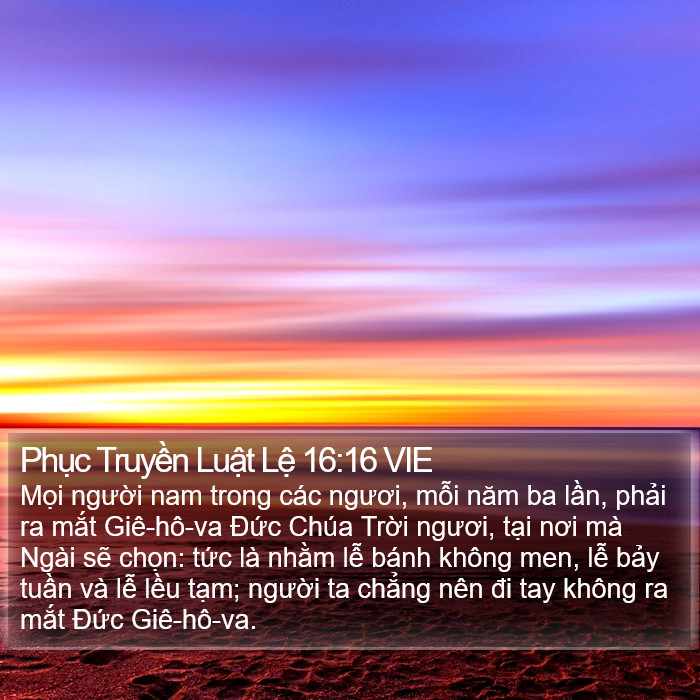 Phục Truyền Luật Lệ 16:16 VIE Bible Study