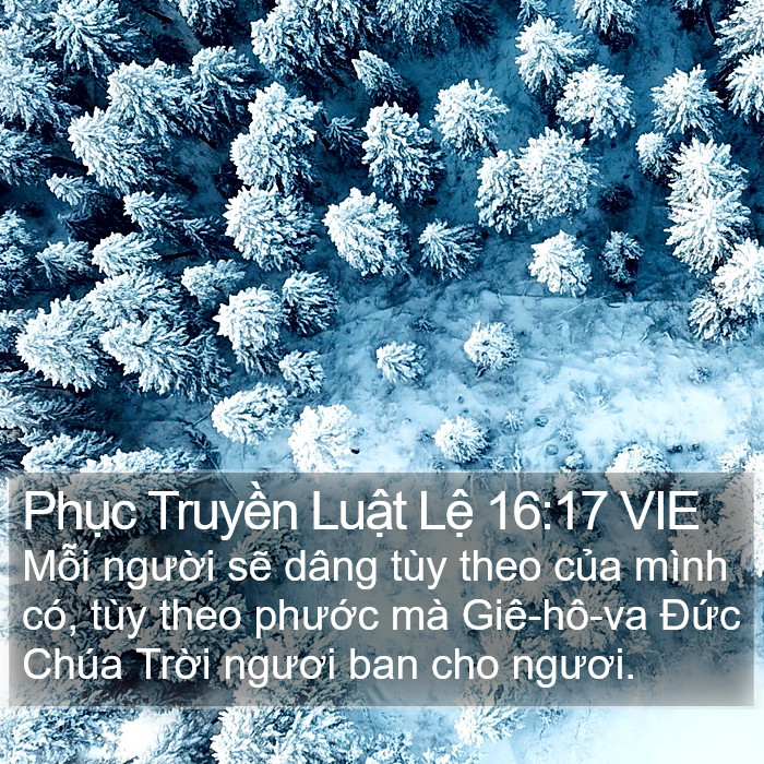 Phục Truyền Luật Lệ 16:17 VIE Bible Study