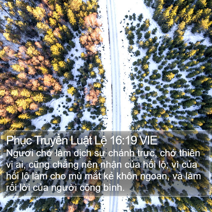 Phục Truyền Luật Lệ 16:19 VIE Bible Study