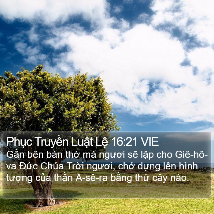 Phục Truyền Luật Lệ 16:21 VIE Bible Study