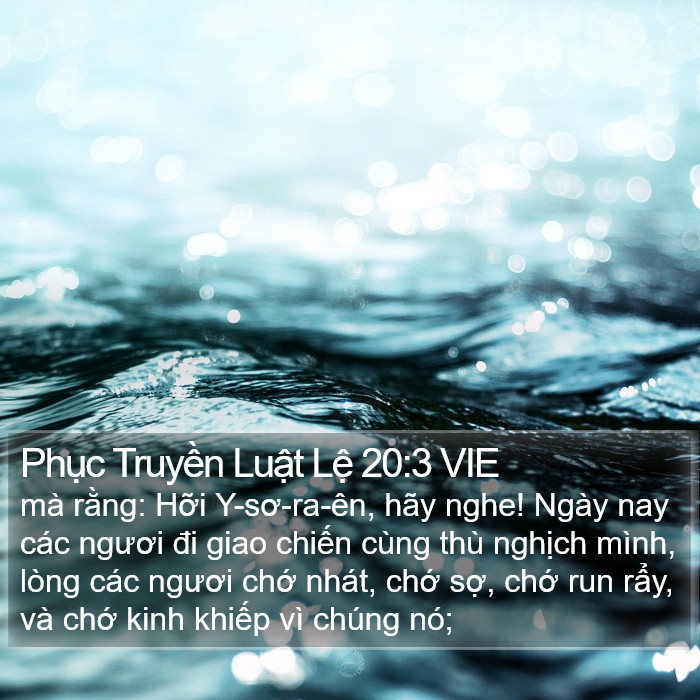 Phục Truyền Luật Lệ 20:3 VIE Bible Study