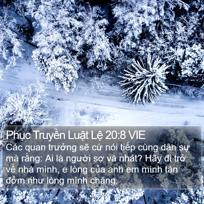 Phục Truyền Luật Lệ 20:8 VIE Bible Study