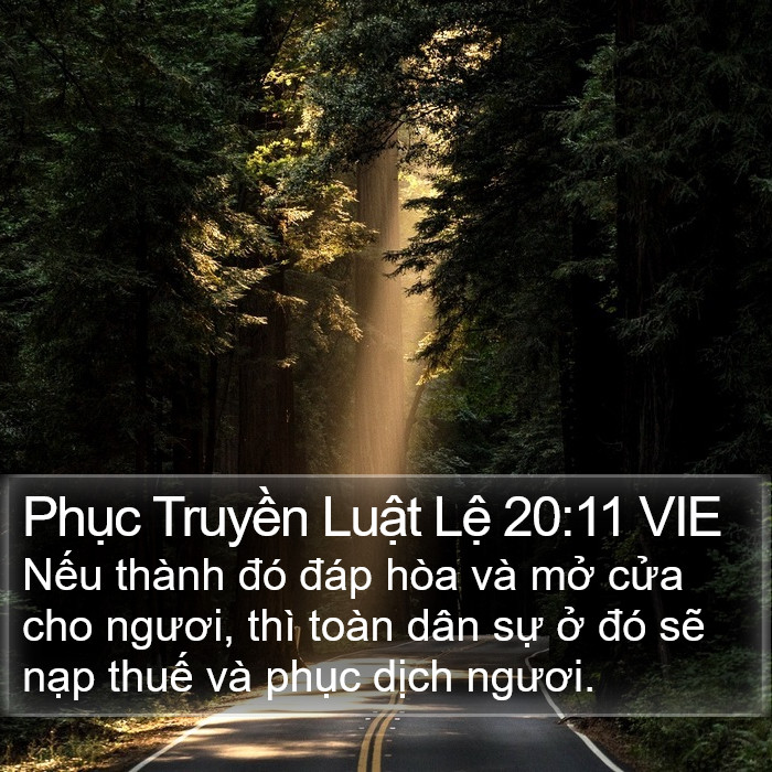 Phục Truyền Luật Lệ 20:11 VIE Bible Study