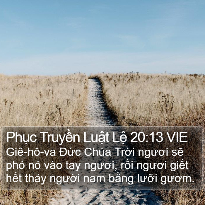 Phục Truyền Luật Lệ 20:13 VIE Bible Study