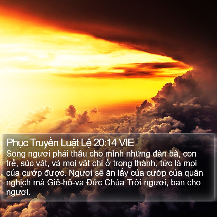 Phục Truyền Luật Lệ 20:14 VIE Bible Study