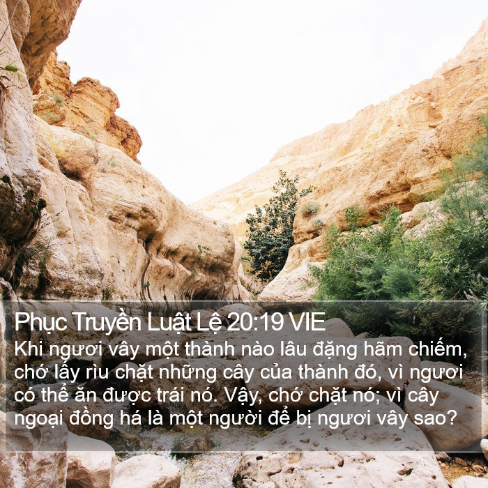 Phục Truyền Luật Lệ 20:19 VIE Bible Study