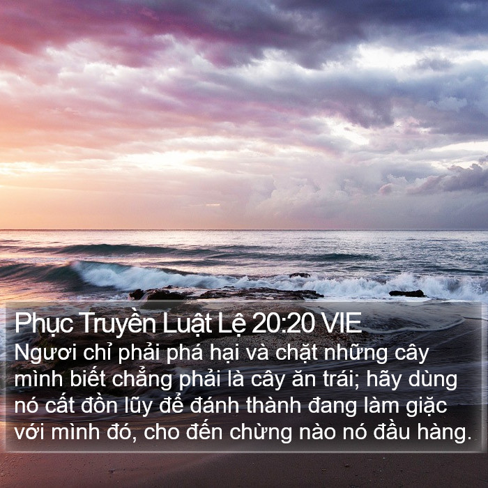 Phục Truyền Luật Lệ 20:20 VIE Bible Study