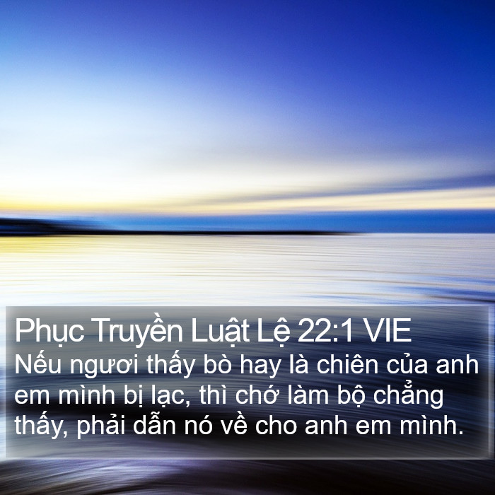 Phục Truyền Luật Lệ 22:1 VIE Bible Study